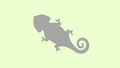 Top view of a veiled chameleon graphic animation. 4K resolution