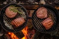 top view of venison steaks on a grill, campfire below