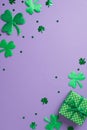 Top view vertical photo of saint patricks day decorations trefoils green giftbox and clover shaped confetti on isolated pastel Royalty Free Stock Photo