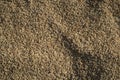 Top view of Vietnamese rice sun drying Royalty Free Stock Photo
