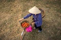 Top view of Vietnamese woman with bike and basket of blossoming Bombax ceiba. The woman wears conical hat. Vietnamese woman image. Royalty Free Stock Photo