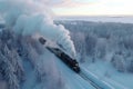 Top view of vintage holiday train traveling through a snowy landscape among forests and mountains