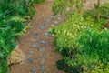 Top view of walkway in the garden and green shrub beside pathway. Garden landscape design Royalty Free Stock Photo