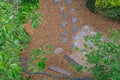 Top view of walkway in the garden and green shrub beside pathway. Royalty Free Stock Photo