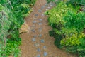 Top view of walkway in the garden and green shrub beside pathway. Royalty Free Stock Photo