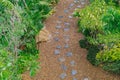 Top view of walkway in the garden and green shrub beside pathway. Royalty Free Stock Photo