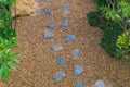 Top view of walkway in the garden and green shrub beside pathway. Royalty Free Stock Photo