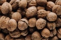 Top view of walnuts in nutshells Royalty Free Stock Photo
