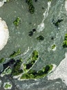 Top view of wastewater with air bubbles and moss flowing through a cracked ditch. Oxygen bubble in dirty sewage water treatment in