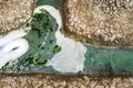 Top view of wastewater with air bubbles and moss flowing through a cracked ditch. Oxygen bubble in dirty sewage water treatment in Royalty Free Stock Photo