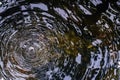 Top view of water droplets on the surface wave. Rings surface circle water waves Royalty Free Stock Photo