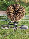 Top view of weathered fence post with wire fastenings Royalty Free Stock Photo