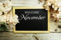 Welcome November text message on blackboard with flower decoration on wooden background Royalty Free Stock Photo