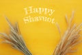 top view of wheat crop. Symbols of jewish holiday - Shavuot