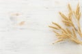 Top view of wheat crops over white wooden background. Symbols of jewish holiday - Shavuot