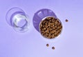 Top view of white bowl with dry kibble cat food and wateer on purple, lilac background Royalty Free Stock Photo