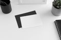 Top view of a white card mockup with workspace accessories and a succulent plant on a white table Royalty Free Stock Photo
