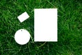 Top view on with white cardboard empty tags of different shapes mock-up of lawn green grass with tag for logo Royalty Free Stock Photo