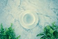 Top View White Coffee Cup and Plants or Tree at Bottom on Marble Office Desk in Vintage Tone