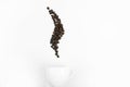 The top view of the white cup with coffee beans in the form of steam on the white blackground Royalty Free Stock Photo