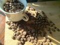 top view with white cup filled with freshly roasted coffee beans isolated on wood plank Royalty Free Stock Photo