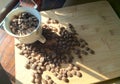 top view with white cup filled with freshly roasted coffee beans isolated on wood plank Royalty Free Stock Photo