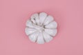 White decorational pumpkin on pink background Royalty Free Stock Photo