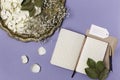 Top view of white dry petals of a flower of roses and an envelope out of Kraft paper on a blue background. Flat lay, space for Royalty Free Stock Photo