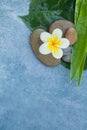 Top view of white flower on stones for relax Royalty Free Stock Photo