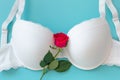 Top view white lace lingerie with red roses on green background. Set of woman essential underwear or accessory. Flat lay,