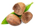 top view whole coconut with shell and green leaf