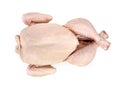 Top view of whole fresh raw chicken isolated on white background Royalty Free Stock Photo