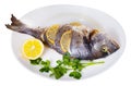 Top view of whole grilled dorada served with lemon and greens at plate Royalty Free Stock Photo