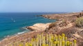 top view of wild golden diego hernandez beach