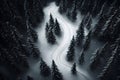 Top view winding path between snow-covered trees in winter Royalty Free Stock Photo