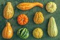 Top view of the winter squash with different species of pumpkins put on the green surface Royalty Free Stock Photo