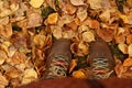 Top view on woman brown shoes on a background of colorful autumn leaves. Royalty Free Stock Photo