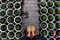 Woman feet stand on path in garden with rhythm of many flower pot