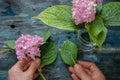 Top view of a woman hands arranging the hydrangeas in a glass jar