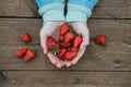 Top view of woman hands with strawberries on wooden table Royalty Free Stock Photo