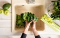 Top view of woman hands washing spinach at kitchen sink Royalty Free Stock Photo