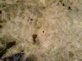 top view of woman lying on brown field with grass