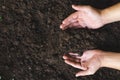 Top view a woman`s hand embraces black soil with rich minerals and elements nutrients suitable cultivating successful agriculture.