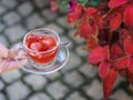 A top view of a girl`s hand with a cup of fruity tea on a natural background. Strawberry balsamico herbal tea. Royalty Free Stock Photo