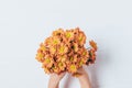 Top view woman's hands holding simple bouquet