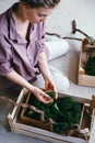 Top view a woman selects stabilized moss for vertical landscaping