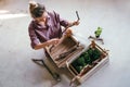 Top view a woman selects stabilized moss for vertical landscaping