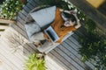 Top view of woman working outdoors in the garden, with laptop on legs. Businesswoman working remotely from homeoffice