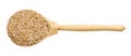 Top view of wood spoon with uncooked wheat groats