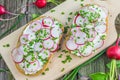 Top View Wooden Board with Two Slices of Bread with Curd Cheese, Radishes and Chive on Wooden Table